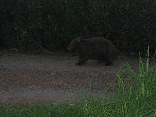 Morton Nationalpark