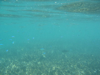 Ningaloo Reef