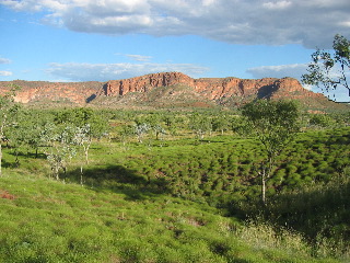 Bungle Bungle - Purnululu NP