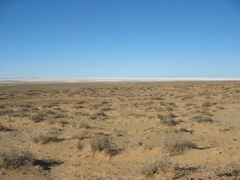 Cooper Pedy nach Marree - Lake Eyre South