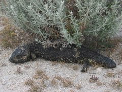 Canuda Nationalpark