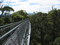 Walepole-Nornalup NP