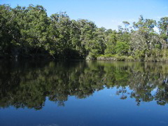 Shannon Nationalpark