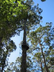 Shannon Nationalpark