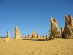 Pinnacles Desert