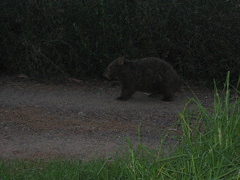 Morton Nationalpark