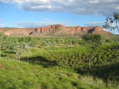 Bungle Bungle - Purnululu NP