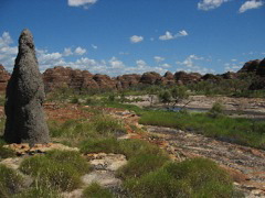 Bungle Bungle - Purnululu NP