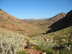 West Macdonnall NP - Ormiston Gorge