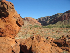 West Macdonnall NP - Ormiston Gorge