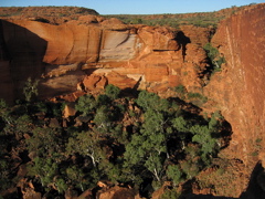 Kings Canyon