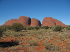 Kata Tjuta (the Olgas)