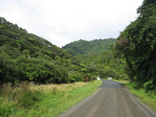 Auf dem Weg nach Awakino