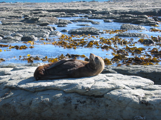 Kaikoura