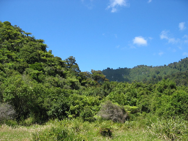 Paparoa Nationalpark