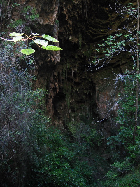 Paparoa Nationalpark