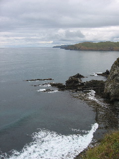 Curio Bay