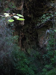 Paparoa Nationalpark