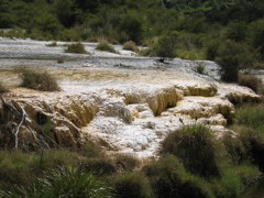 Waimangu Thermal Valley