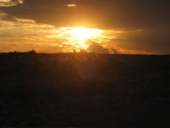 Etosha NP