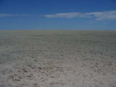 Etosha NP