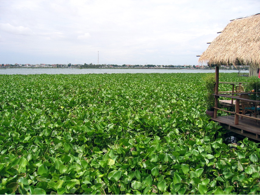 Phnom Penh