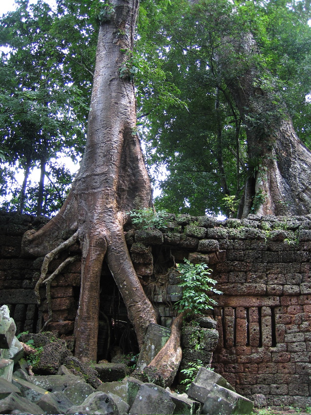 Siem Reap - Ankor Wat