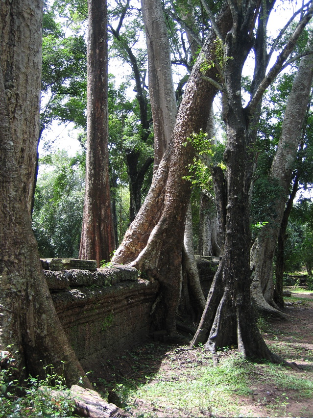 Siem Reap - Ankor Wat