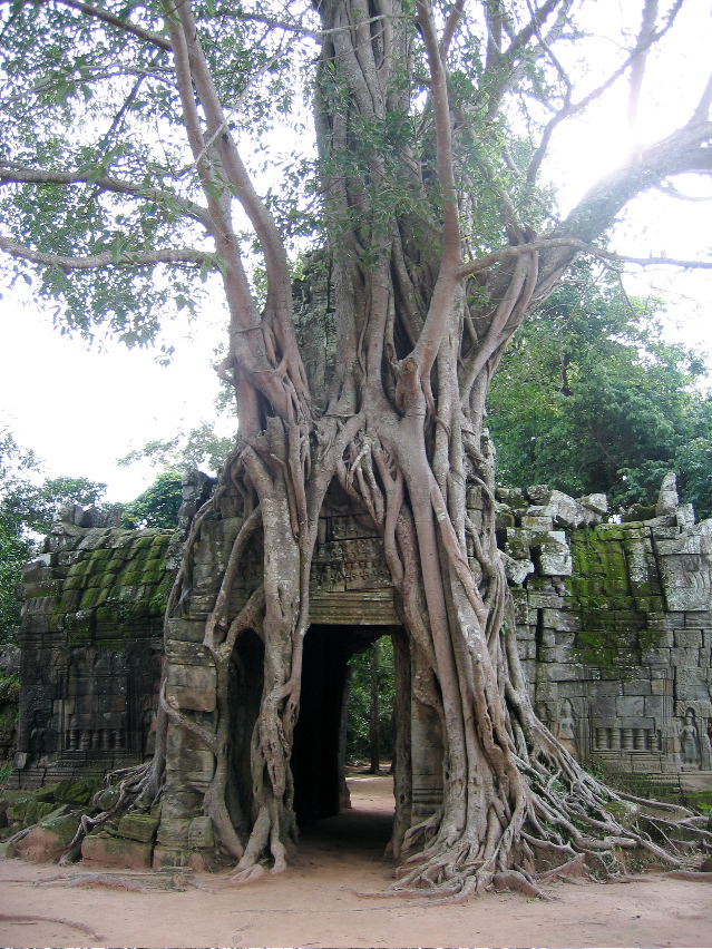 Siem Reap - Ankor Wat