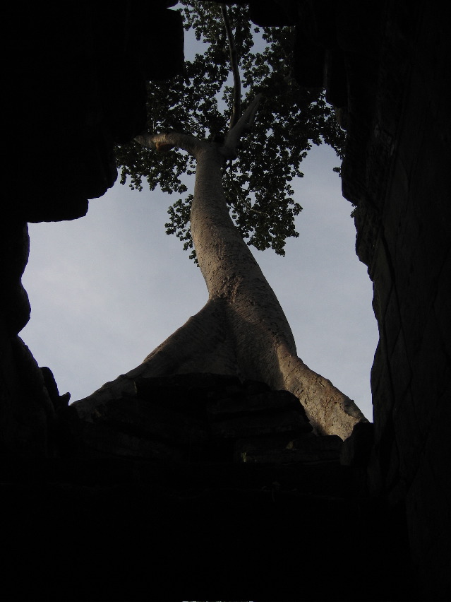 Siem Reap - Ankor Wat