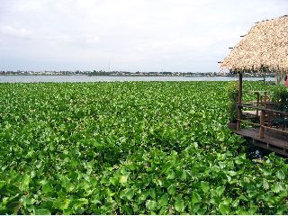 Phnom Penh