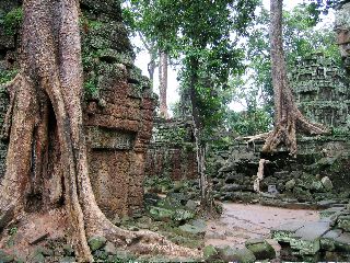 Siem Reap - Ankor Wat