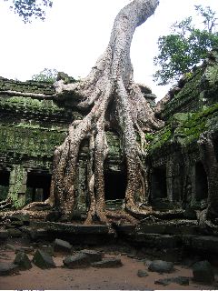 Siem Reap - Ankor Wat