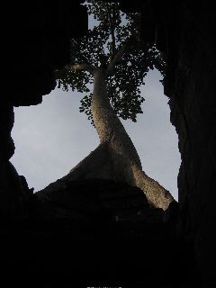 Siem Reap - Ankor Wat