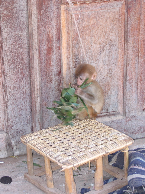 Luang Prabang