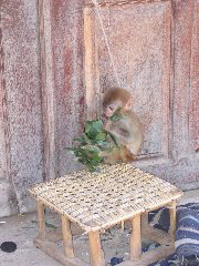 Luang Prabang