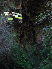 Paparoa Nationalpark