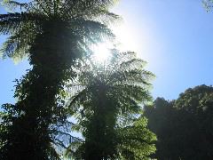 Paparoa Nationalpark