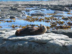 Kaikoura