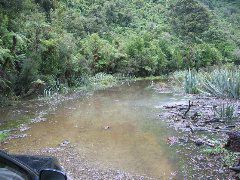 Paparoa Nationalpark