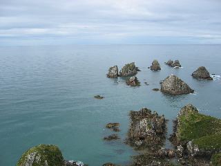 Nugget Point