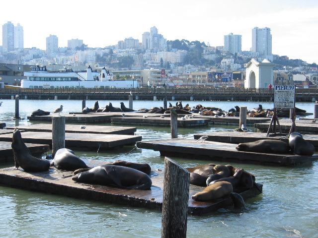 San Francisco