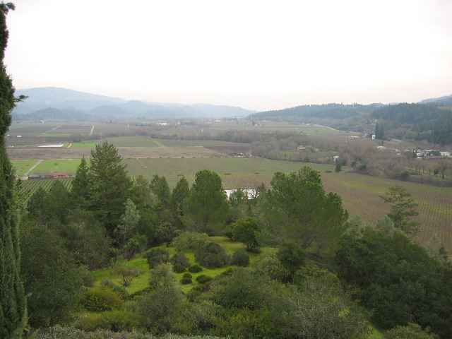 Nappa Valley