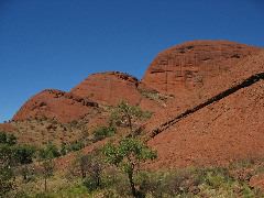 IMG_0909.JPG