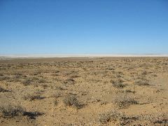 IMG_0962.JPG