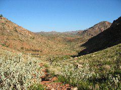 IMG_0859.JPG