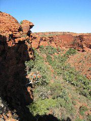 IMG_0880.JPG