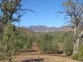 Flinders Range Nationalpark